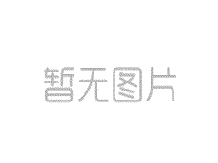 办灵活就业社保去哪里办